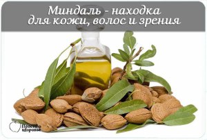 RNHA2UxFabI