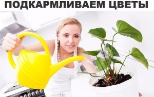 getImage (6)