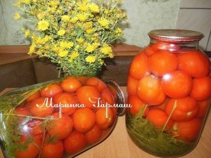 image (28)