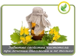 image (30)