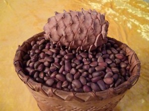 image (13)