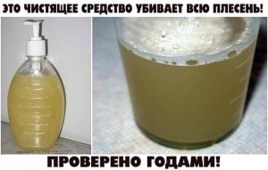 image (3)