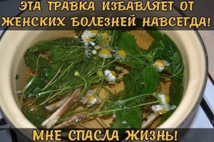 image (1)